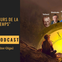 Les décodeurs de la toile duTemps Podcast
