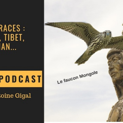Antoine Gigal Podcast
