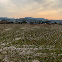 Sleep Induction (Full Album)