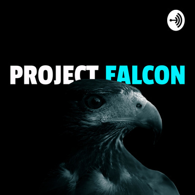 Project: Falcon