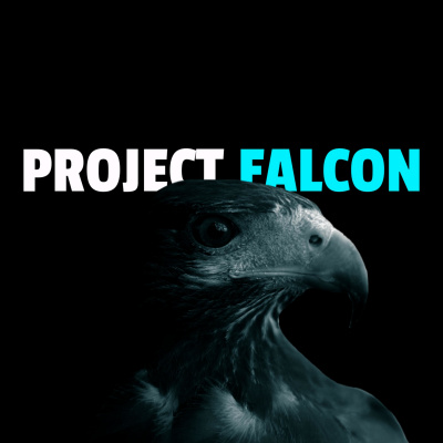 Project: Falcon