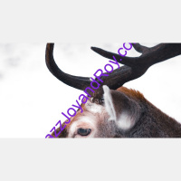 Historical Fact: JazzJoyandRoy.com’s Jazz Joy and Roy Global Radio Returned To All Christian Music Saturday, March 4 2023