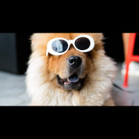 Historical Fact: JazzJoyandRoy.com’s Jazz Joy and Roy Global Radio Returned To All Christian Music Saturday, March 4 2023