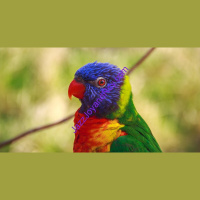 Historical Fact: JazzJoyandRoy.com’s Jazz Joy and Roy Global Radio Returned To All Christian Music Saturday, March 4 2023