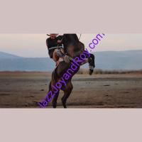 Historical Fact: JazzJoyandRoy.com’s Jazz Joy and Roy Global Radio Returned To All Christian Music Saturday, March 4 2023