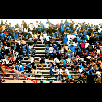 NACIÓN DE APUESTAS 031