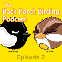 Springing Forward for 2019