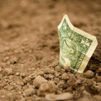 Cómo desdolarizar la economía Argentina y decir adiós al bimonetarismo