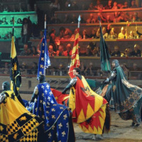 Audiolibro: Medieval Times