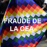 Fraude en Bolivia (Pero de la OEA)