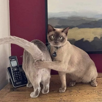 Save yo $$ Money Ft Tati