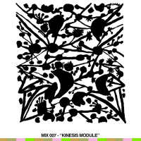 007 - Kinesis Module