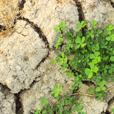 Podcast-serie Zu Spannenden Fakten Rund Um Das Kühle Nass
