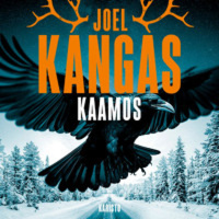 #62 Vieraana Joel Kangas ja keskustelussa Kaamos-dekkari