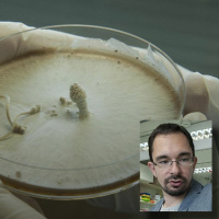 Gombatörténetek - beszélgetés Nagy Lászlóval