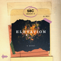 Elevation - Stephen King