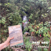 T11 E5 Jimena Montaña Cuéllar, El río que corre. Una historia del río San Francisco y de la avenida Jiménez