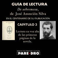 Guía de lectura de “De sobremesa” de José Asunción Silva. Capítulo 3: preámbulo a la lectura.