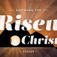 Knowing the Risen Christ