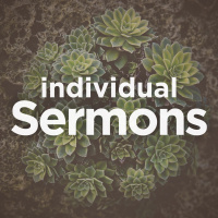 Wise and Joyful in the Spirit