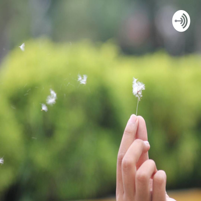 Random Talks By Fira