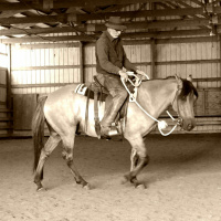 If There Was One Thing