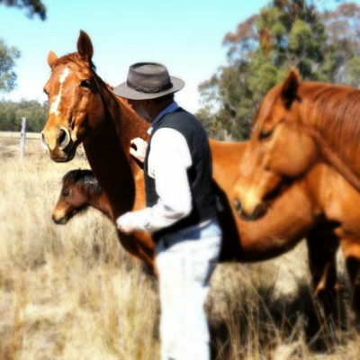 Good Horsemanship - Ross Jacobs