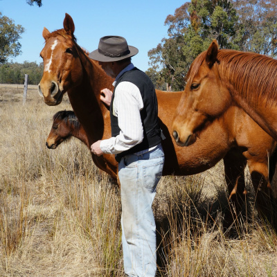 Good Horsemanship - Ross Jacobs
