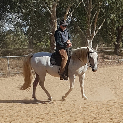 Good Horsemanship - Ross Jacobs