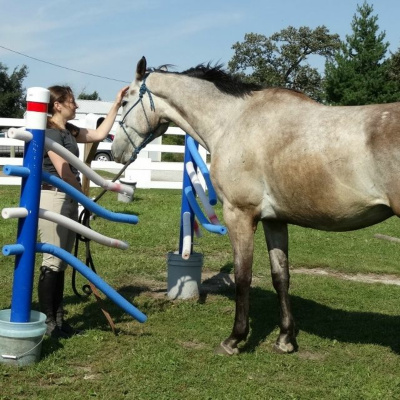 Good Horsemanship - Ross Jacobs