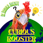 Curious Rooster