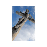 Ministry of Service: Nurturing Life Through Self-Sacrifice