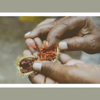 The Forgotten Honesty Factors: Vulnerability and Openness