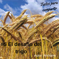 #005 El mejor cuento para reflexionar!!!-Textos para compartir