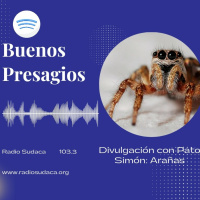 Divulgación con Pato Simón, Hoy: Arañas
