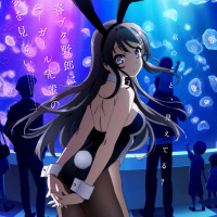 Seishun Buta Yarō wa Bunny Girl-senpai no Yume wo Minai