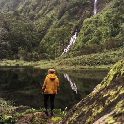 Projekt Wilczy Bilet