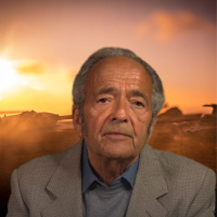 DEMOCRATS LOSE ELECTION... WHEN ALL ELSE FAILS THEY TAKE YOU TO WAR 