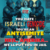 YOU HATE GENOCIDE... YOU ARE AN ANTISEMITE. HEIL AMERIKA, WELL PUT YOU IN JAIL