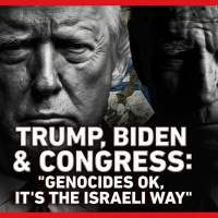 TRUMP BIDEN AND CONGRESS: GENOCIDE OK ITS THE ISRAELI WAY