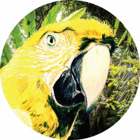 DDR003 - VARIOUS EP - Preview