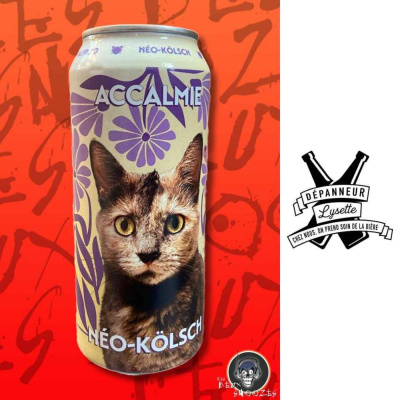 Les Deux Snoozes  | Cjmd 96,9 Fm Lévis | Lalternative Radiophonique