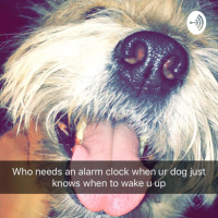 First Podcast live from Denver CO