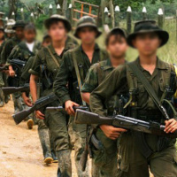 ¿Por qué las guerrillas persisten?