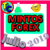 MINTOS FOREX JULIO 2019 - Invertir en rublos, tenges y laris con la Mejor Plataforma P2P