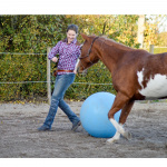 Hestetræning Med Hjerte Og Hjerne