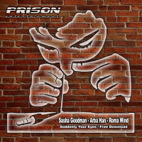 Sasha Goodman  Roma Wind - Free Download (Radio edit)