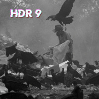 Aterro sanitário de Marituba: tem solução?