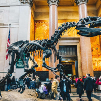 Episode 56: The Museums of Atlantis