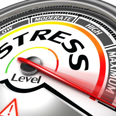 Your Money Manual With Vince Annable